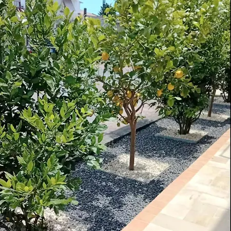 Apartament Casa Happy - La Mansarda Del Sorriso Con Parcheggio Privato A Valcorrente